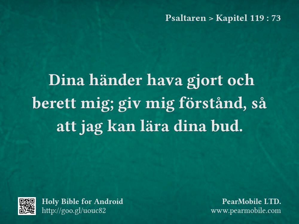 Psaltaren, Kapitel 119:73